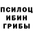 Псилоцибиновые грибы мухоморы Slava Steinhauser