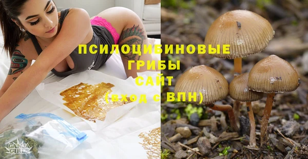первитин Алексин