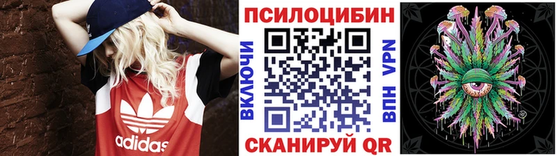 Псилоцибиновые грибы Psilocybe  магазин продажи   Родники 