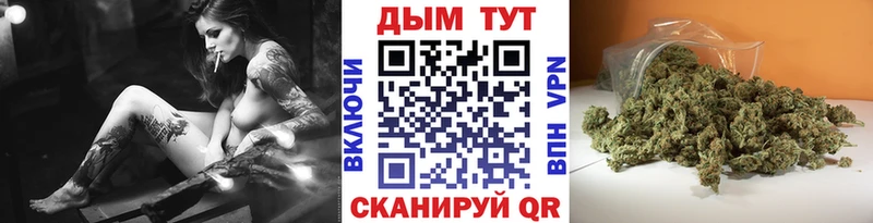 закладки  Родники  Канабис сатива 